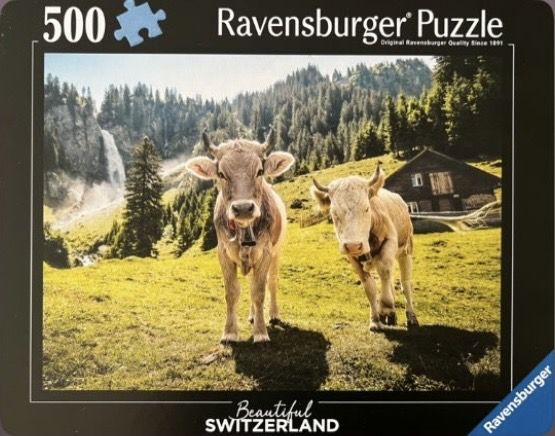 Curious Swiss Cows